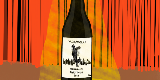 Spotlight #2. Words on cheap Pinot Noir, and a good one we found.