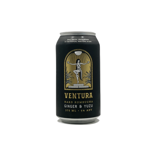 Ventura Brewing Ginger & Yuzu Hard Kombucha 375ml